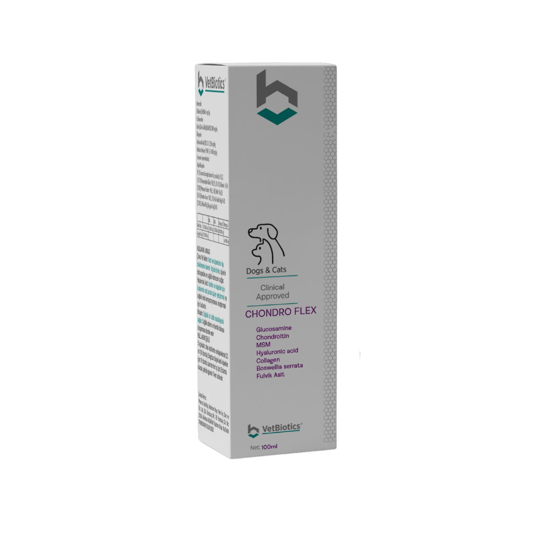 Zayıf kediler için vitamin takviyesi ve sağlık desteği